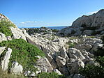 IMG_2558