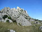 IMG_2561