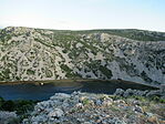 IMG_2600