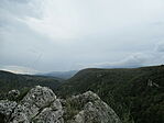 IMG_2630