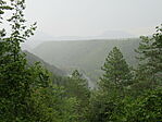 IMG_2671