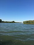 IMG_9545