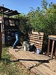 IMG_9553