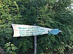 IMG_9559