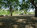 DSC09613