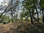 IMG_1988