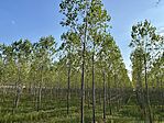 IMG_1989