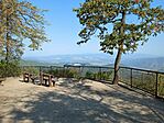 IMG_20240908_100953_728.jpg_compressed