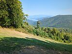 IMG_20240908_102921_049.jpg_compressed