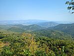 IMG_20240908_101013_748.jpg_compressed