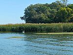 IMG_20240921_100853_742.jpg_compressed