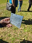 IMG_20240921_125027_227.jpg_compressed