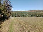 IMG_20240922_124649719_MFNR