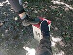 IMG_20240922_130349634_MFNR