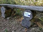 IMG_20240922_134930446_MFNR