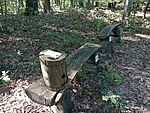 IMG_20240922_135706708_MFNR