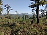 IMG_20240922_141654564_MFNR