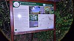 IMG_20240907_221900.jpg