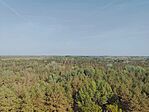 Panoráma