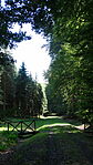 DSC00116