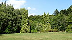 DSC00140