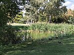 IMG_20240904_150544