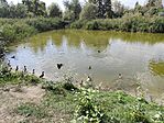 IMG_20240904_150643