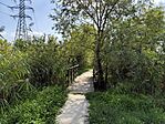 IMG_20240904_151026