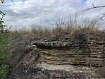 IMG_20240917_161558