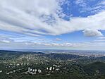 IMG_20240917_124415