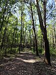 IMG_20240919_113943