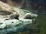 received_1030163178661449