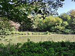 IMG_20240908_093320