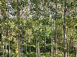 IMG_20240908_111400