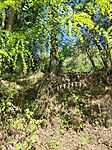 IMG_20240921_112802