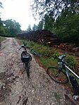 IMG_20240914_102521449