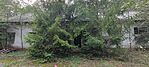 IMG_20240920_164824