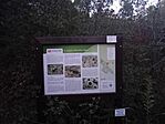 IMG_2024-09-30-18-37-51-890