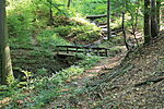 Kezdet