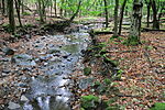 A Domoszlói-patak