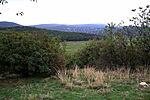 Kilátópont