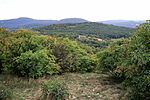 Kilátópont