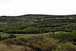 Panoráma