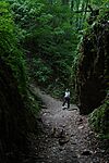 DSC03639