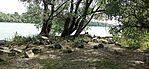 IMG_20240910_112016