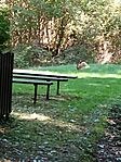 IMG_20240921_115023