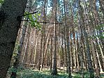 IMG_20240922_124330