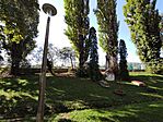 IMG_20240921_103857.jpg