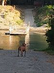 IMG_20240901_071337