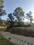 IMG_20240901_071521